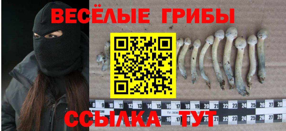 Галлюциногенные грибы Psilocybine cubensis  Галлюциногенные грибы Psilocybe  Вход с VPN  Серпухов 